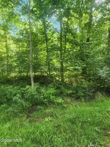 $60,000 | L1.2 L1.2 Mcmillan Road, Delanson, NY 12053