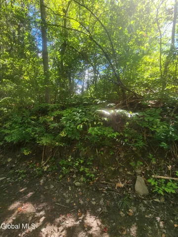 $60,000 | L1.2 L1.2 Mcmillan Road, Delanson, NY 12053