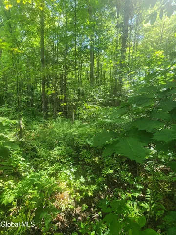 $60,000 | L1.2 L1.2 Mcmillan Road, Delanson, NY 12053