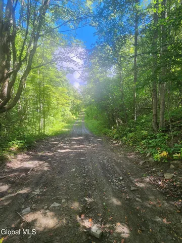 $60,000 | L1.2 L1.2 Mcmillan Road, Delanson, NY 12053