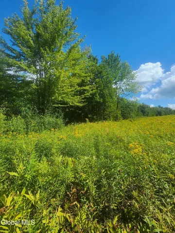 $60,000 | L1.2 L1.2 Mcmillan Road, Delanson, NY 12053