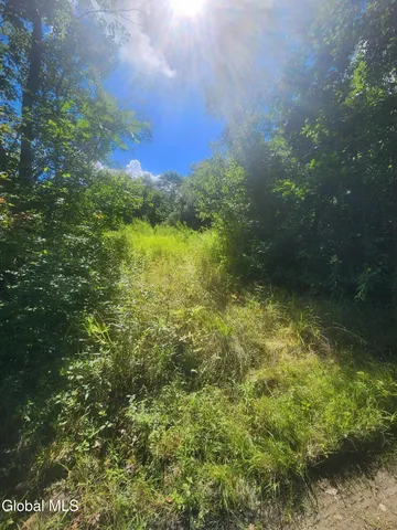 $60,000 | L1.2 L1.2 Mcmillan Road, Delanson, NY 12053