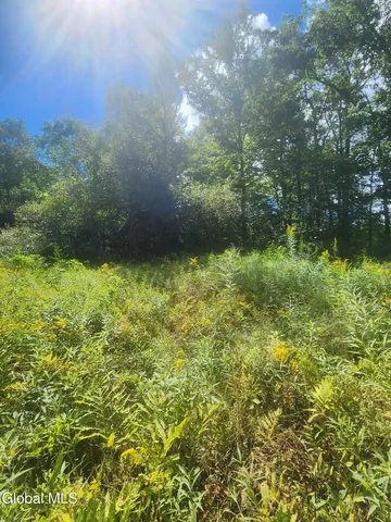 $60,000 | L1.2 L1.2 Mcmillan Road, Delanson, NY 12053