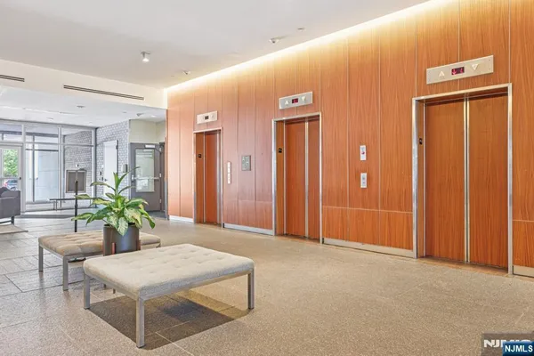a room with furniture and potted plant