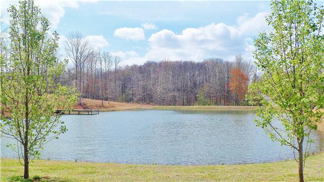 155 Poag Road Hohenwald, TN 38462 - Photo 3 of 20 Gallery Image 3