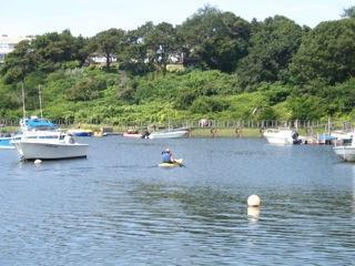 81 Mill Pond Road Chatham, MA 02633 - Photo 17 of 18 Additional Photo