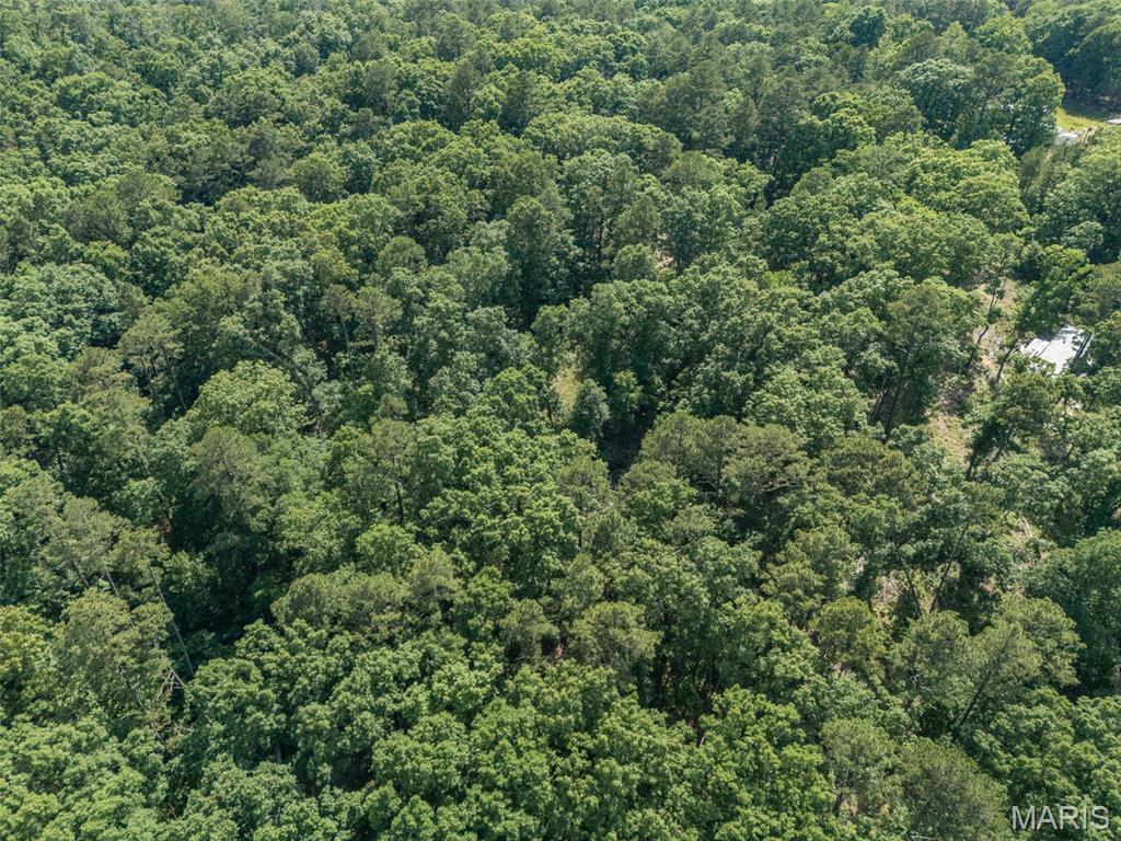 10130 Fish Hook Road Potosi, MO 63664 - Photo 21 of 29