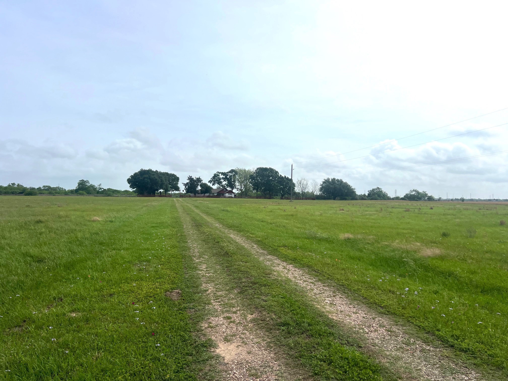 3798 Johnston Road Wallis, TX 77485 - Photo 2 of 38
