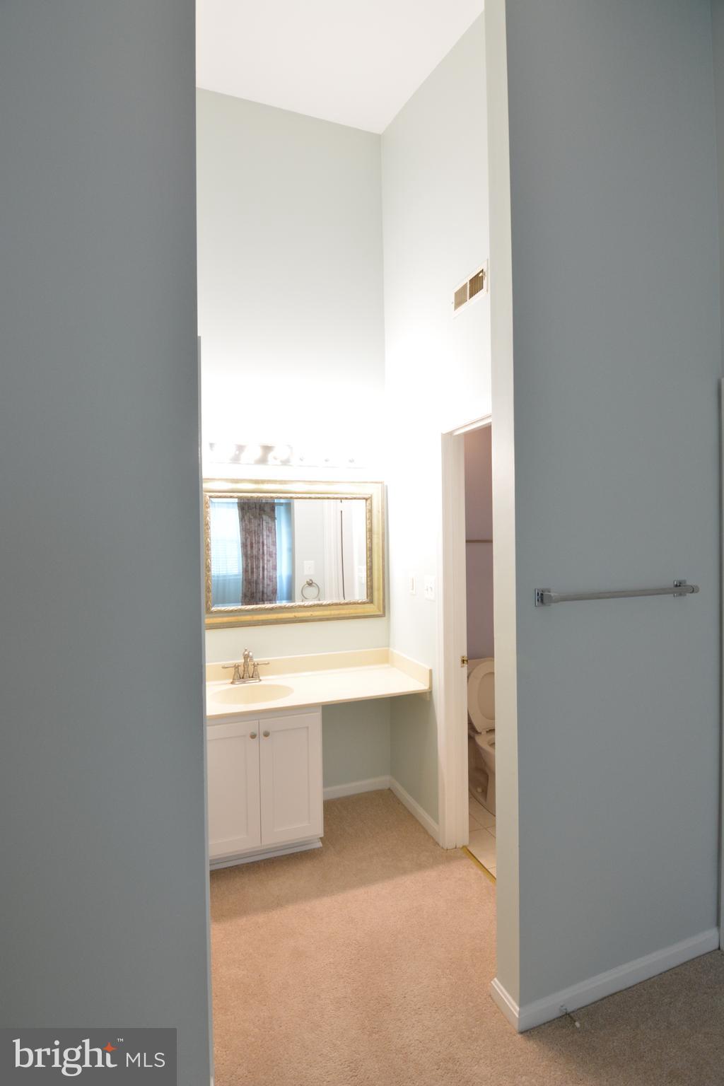 8352 Montgomery Run Road, Unit I Ellicott City, MD 21043 - Photo 29 of 38 Master Bath