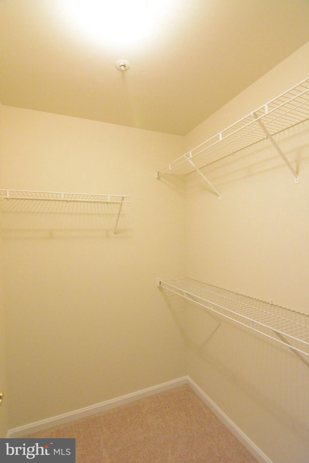8352 Montgomery Run Road, Unit I Ellicott City, MD 21043 - Photo 33 of 38 Walk in Closet