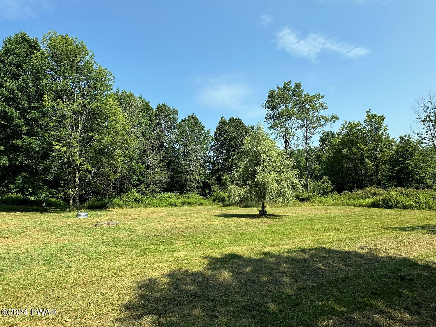 397 Bush Road Equinunk, PA 18417 - Photo 3 of 23 Nice lawn for outdoor activities