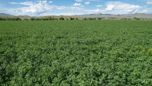 $180,000 | 1 Olds Ferry Road, Weiser, ID 83672