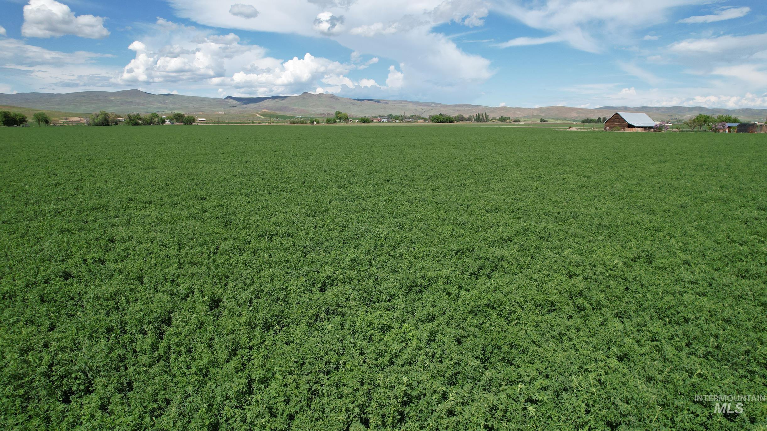 1 Olds Ferry Road Weiser, ID 83672 - Photo 4 of 5