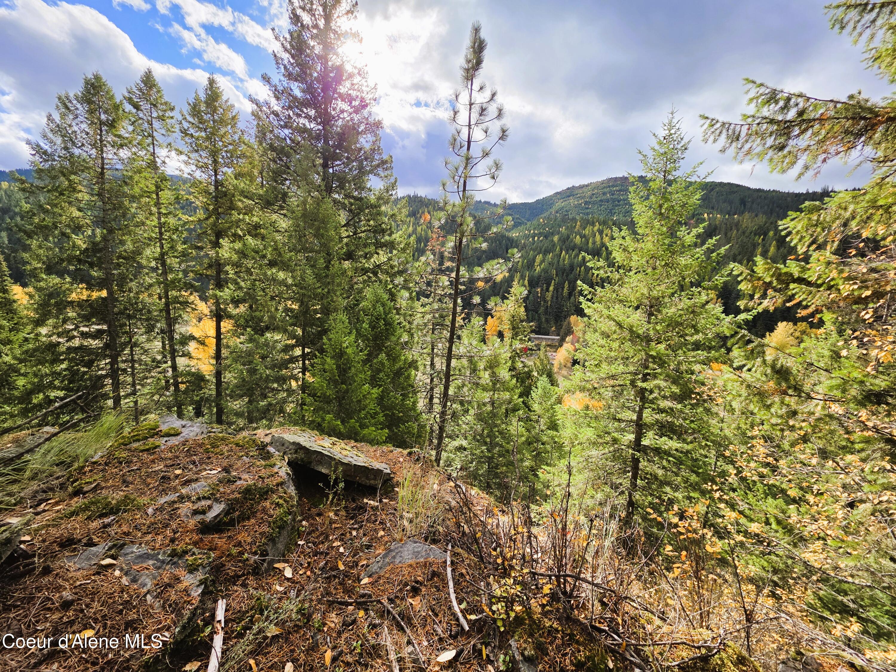 10755 Old River Road Kingston, ID 83839 - Photo 22 of 58 10755 OLD RIVER RD, Kingston, ID 83839