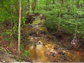 162 Springbrook Road Unicoi, TN 37692 - Photo 3 of 5 Photo 3