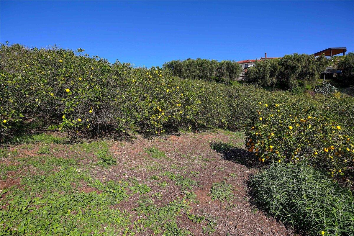 2020 Las Canoas Ridge Way Santa Barbara, CA 93105 - Photo 29 of 37 10-010