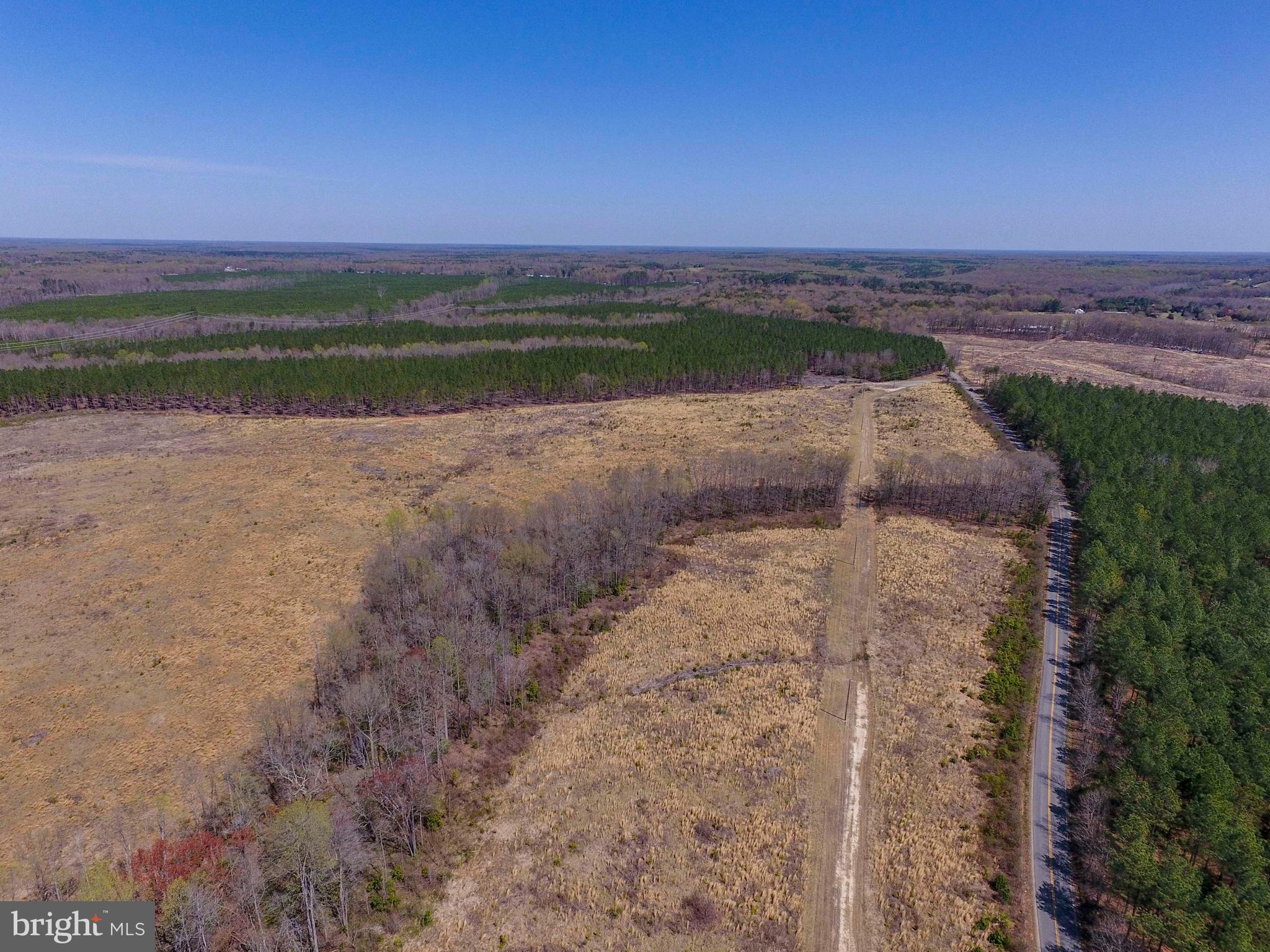 Parcel A Fairview Road Partlow, VA 22534 - Photo 12 of 13