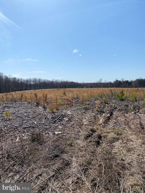 Parcel A Fairview Road Partlow, VA 22534 - Photo 6 of 13