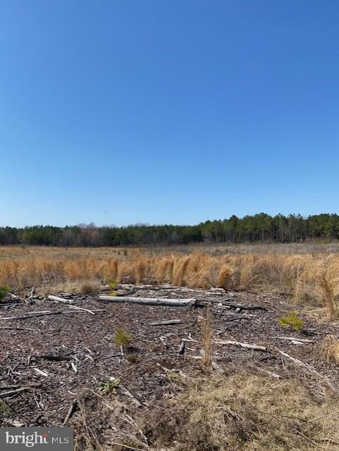 Parcel A Fairview Road Partlow, VA 22534 - Photo 8 of 13