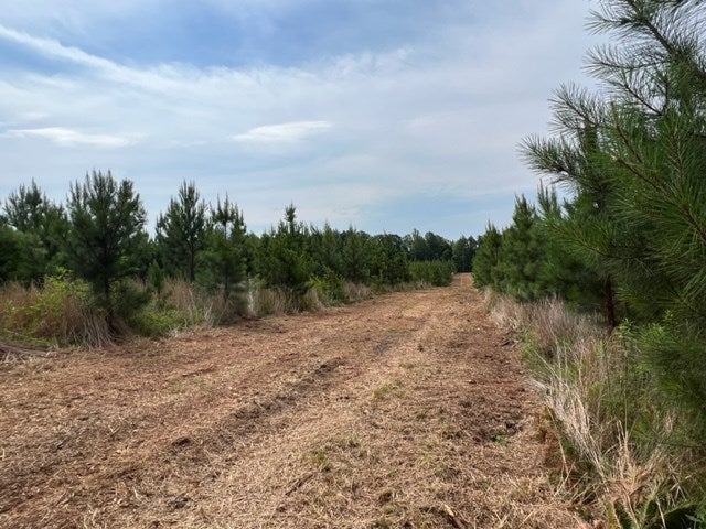 Old Courthouse Road Appomattox, VA 24522 - Photo 10 of 23 Gallery Image 10