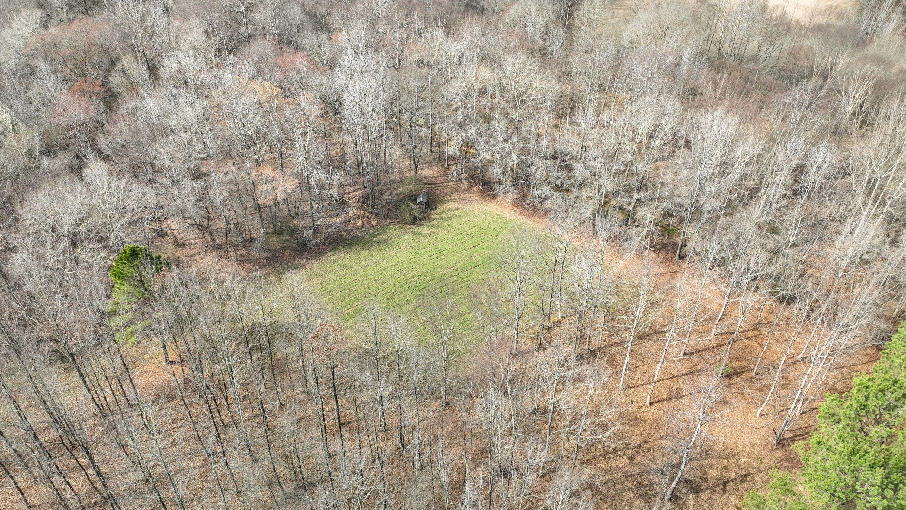 731 Wright Road Tremont, MS 38876 - Photo 26 of 76 Gallery Image 26