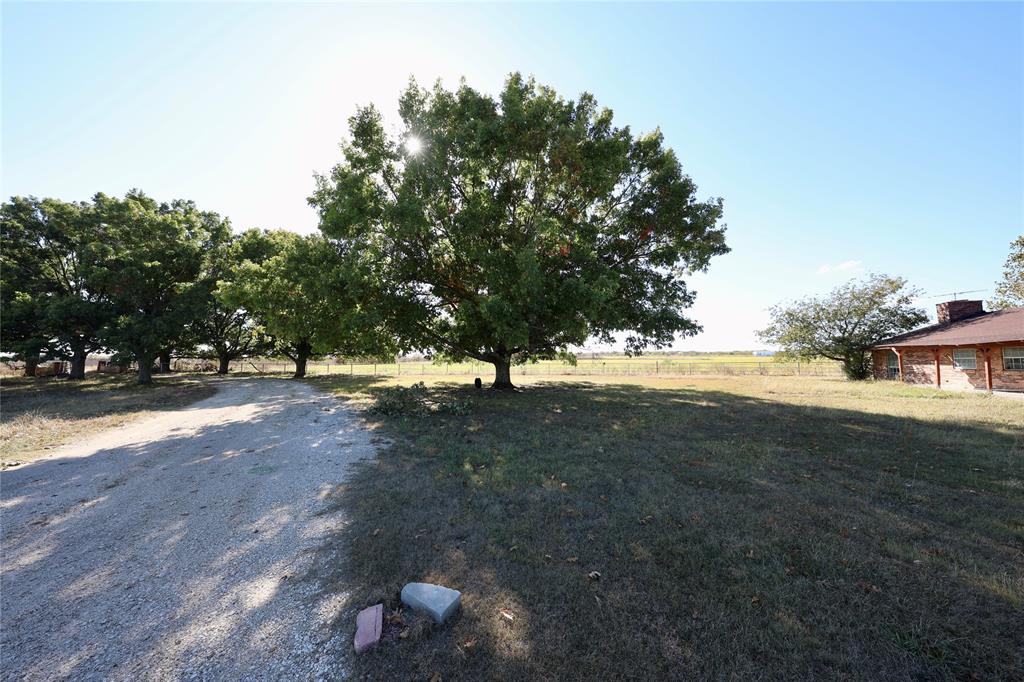 1600 County Road 1109A Rio Vista, TX 76093 - Photo 20 of 29 a view of outdoor space with trees