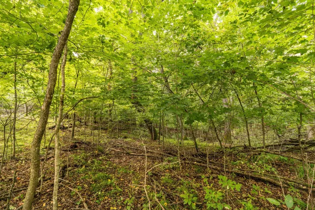 $315,000 | Lot 4 407th Street North, Dent, MN 56528