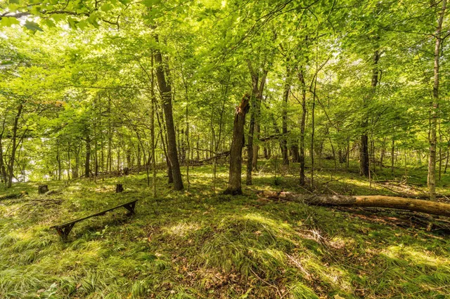 $315,000 | Lot 4 407th Street North, Dent, MN 56528