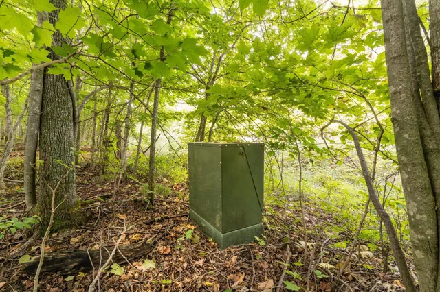 $315,000 | Lot 4 407th Street North, Dent, MN 56528