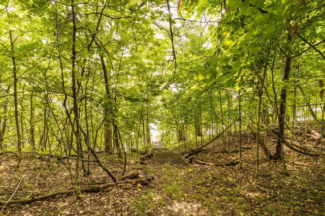 $315,000 | Lot 4 407th Street North, Dent, MN 56528