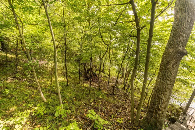 $315,000 | Lot 4 407th Street North, Dent, MN 56528