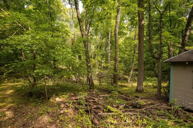 $315,000 | Lot 4 407th Street North, Dent, MN 56528