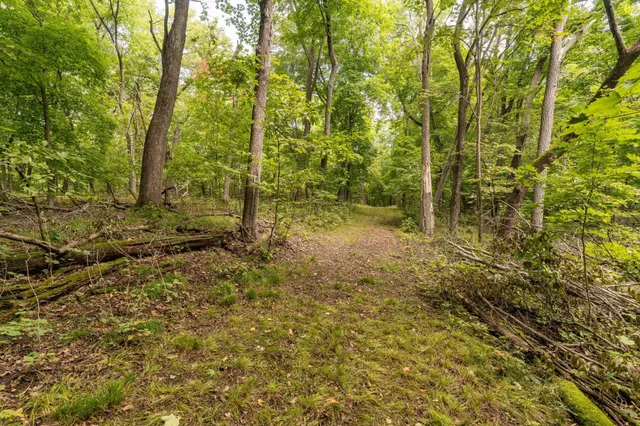 $315,000 | Lot 4 407th Street North, Dent, MN 56528