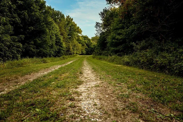 $315,000 | Lot 4 407th Street North, Dent, MN 56528