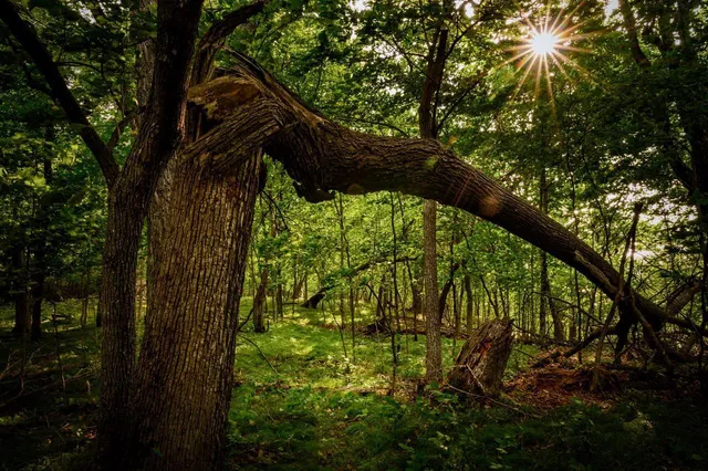 $315,000 | Lot 4 407th Street North, Dent, MN 56528