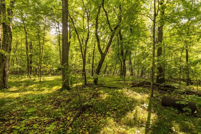 $315,000 | Lot 4 407th Street North, Dent, MN 56528