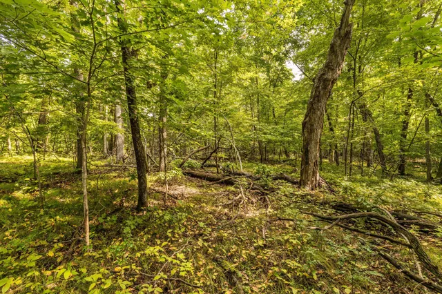 $315,000 | Lot 4 407th Street North, Dent, MN 56528