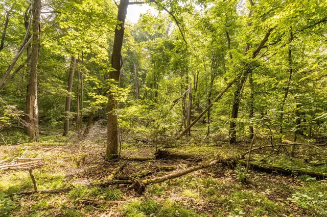 $315,000 | Lot 4 407th Street North, Dent, MN 56528