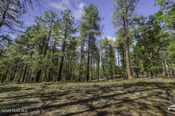 0 South Comstock Mine Road Prescott, AZ 86303 - Photo 18 of 19 a view of outdoor space with trees