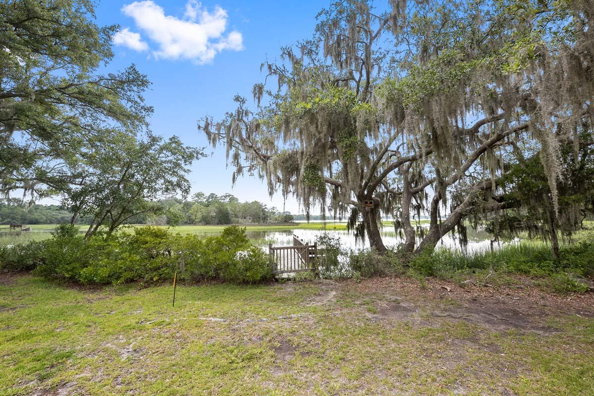 1171 Harts Bluff Road Wadmalaw Island, SC 29487 - Photo 6 of 75 DSC_7443