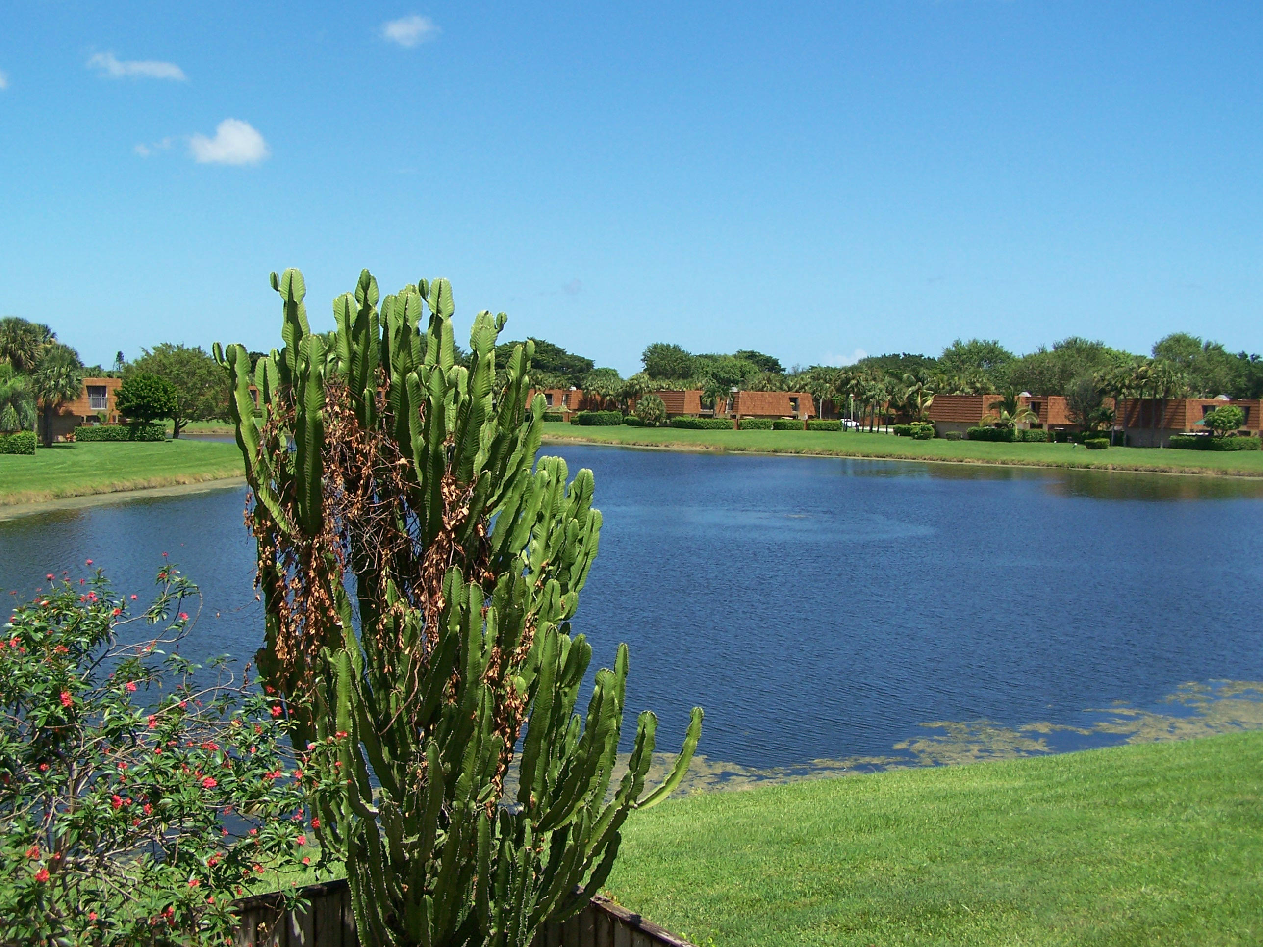 310 Buttonwood Lane, Unit B Boynton Beach, FL 33436 - Photo 13 of 17 Balcony View
