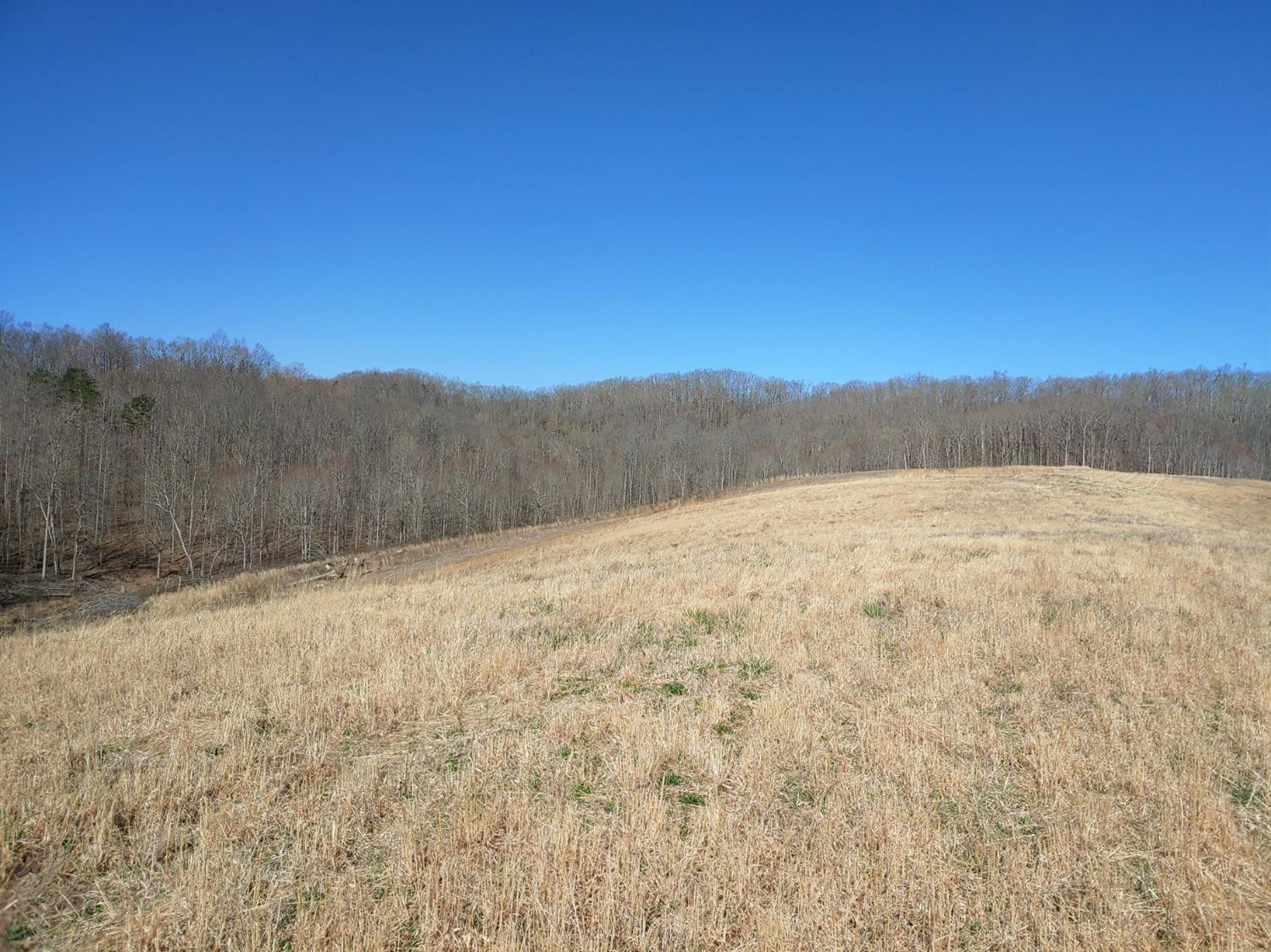999 Pine Hill Brock Road London, KY 40741 - Photo 20 of 25 Photo 20