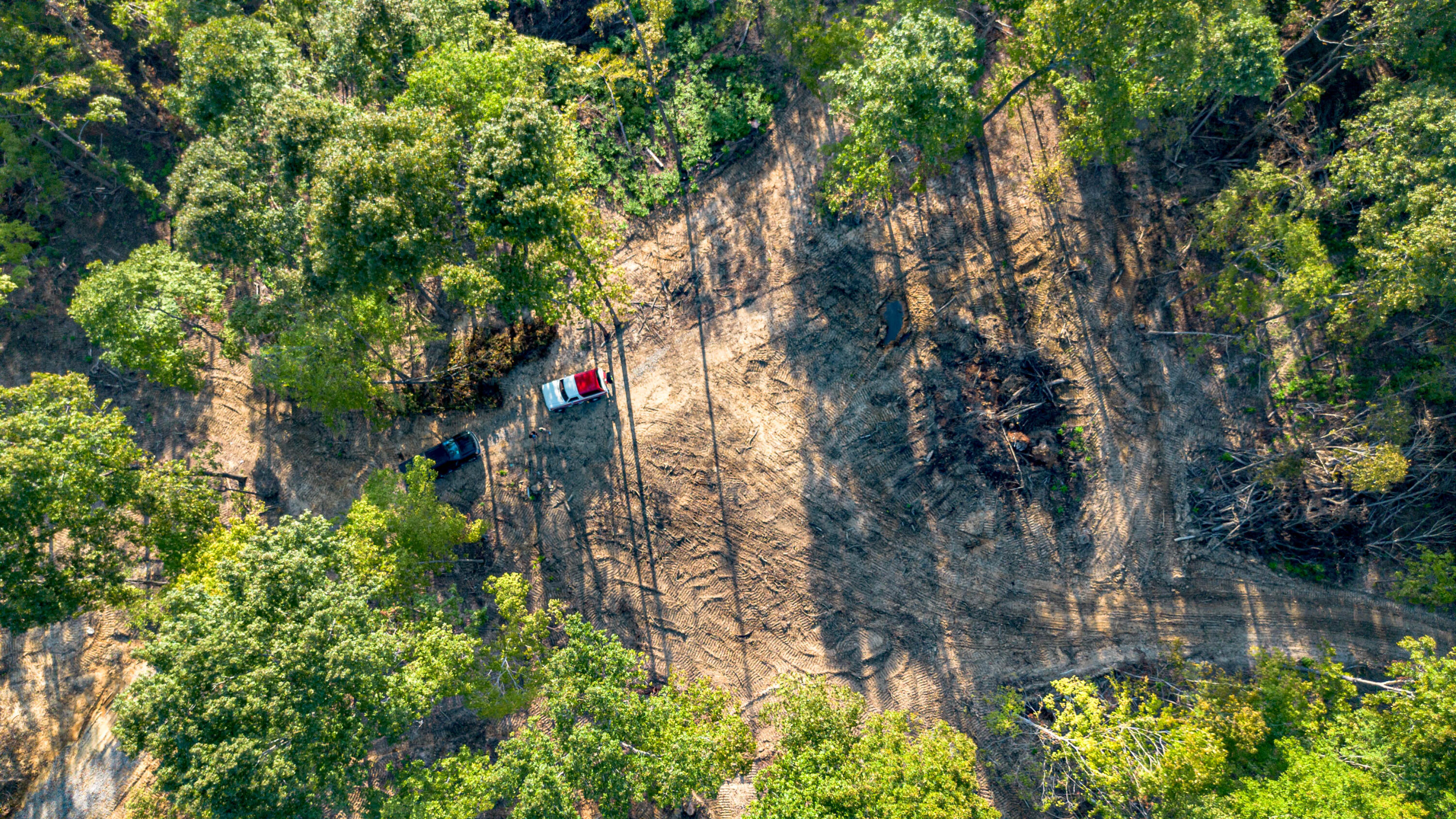0 Irma White Road Marion, KY 42064 - Photo 14 of 15 DJI_0442