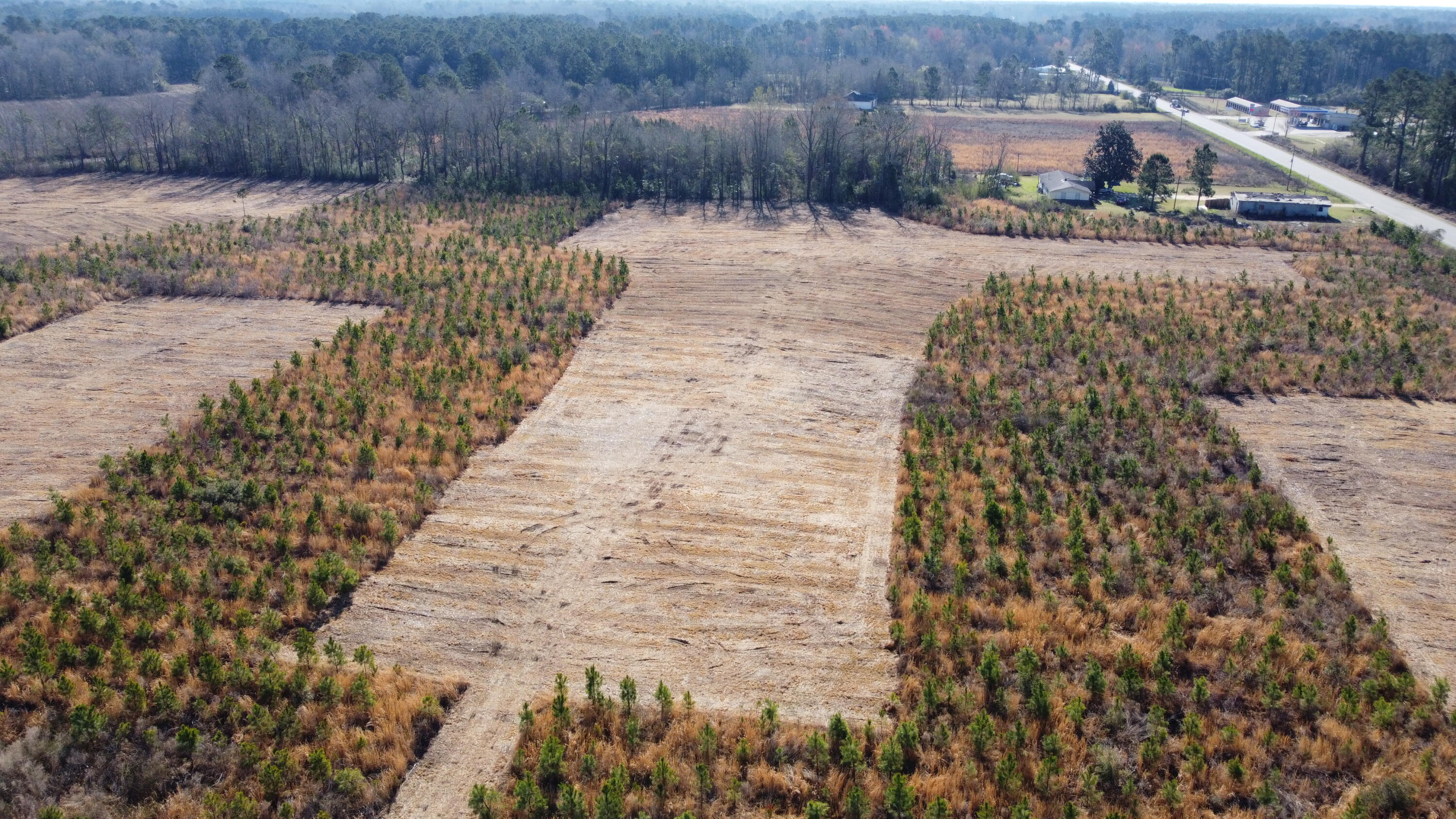 101-4 Highway 6 Elloree, SC 29047 - Photo 1 of 10 DJI_0106