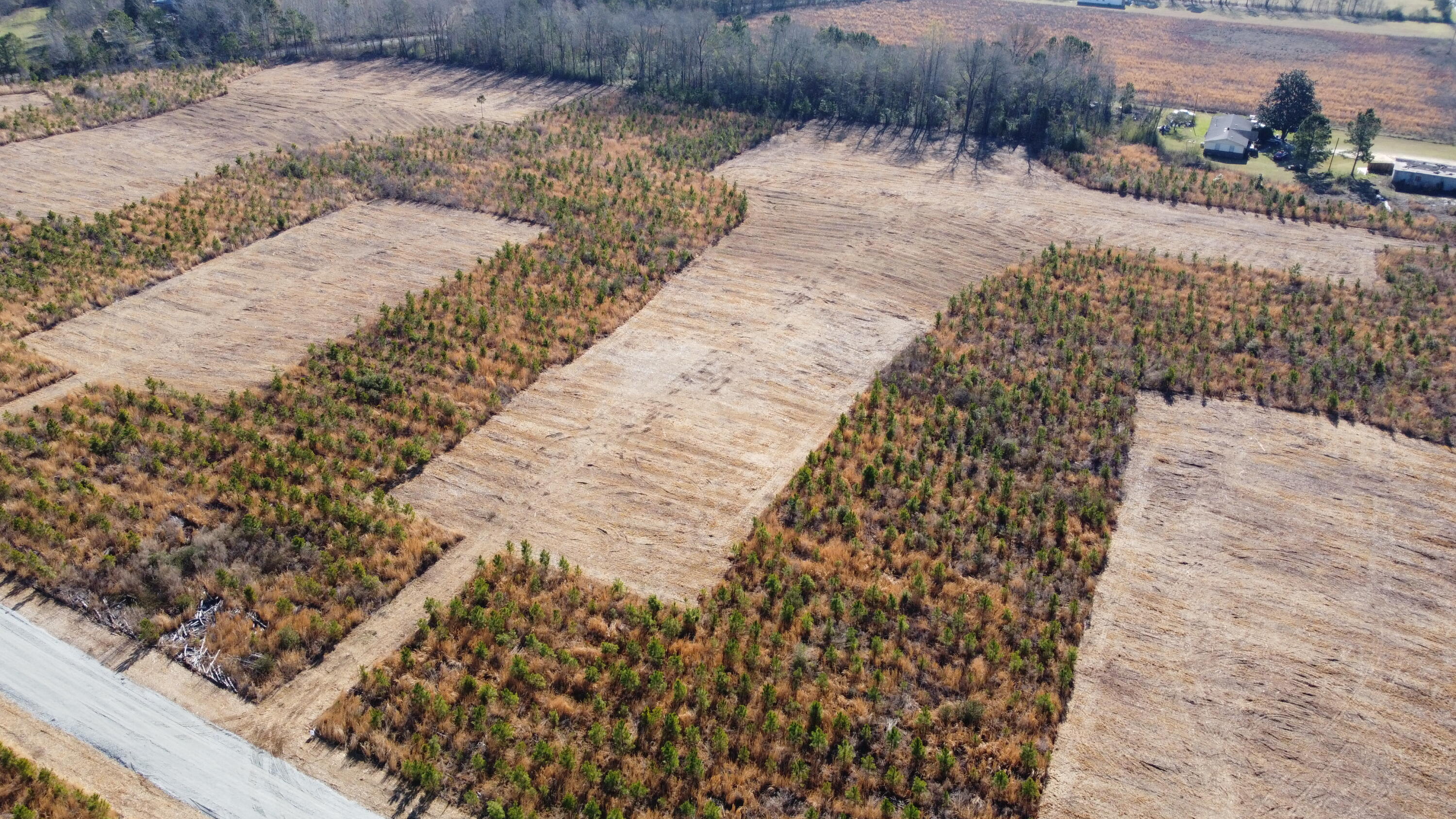 101-4 Highway 6 Elloree, SC 29047 - Photo 4 of 10 DJI_0108