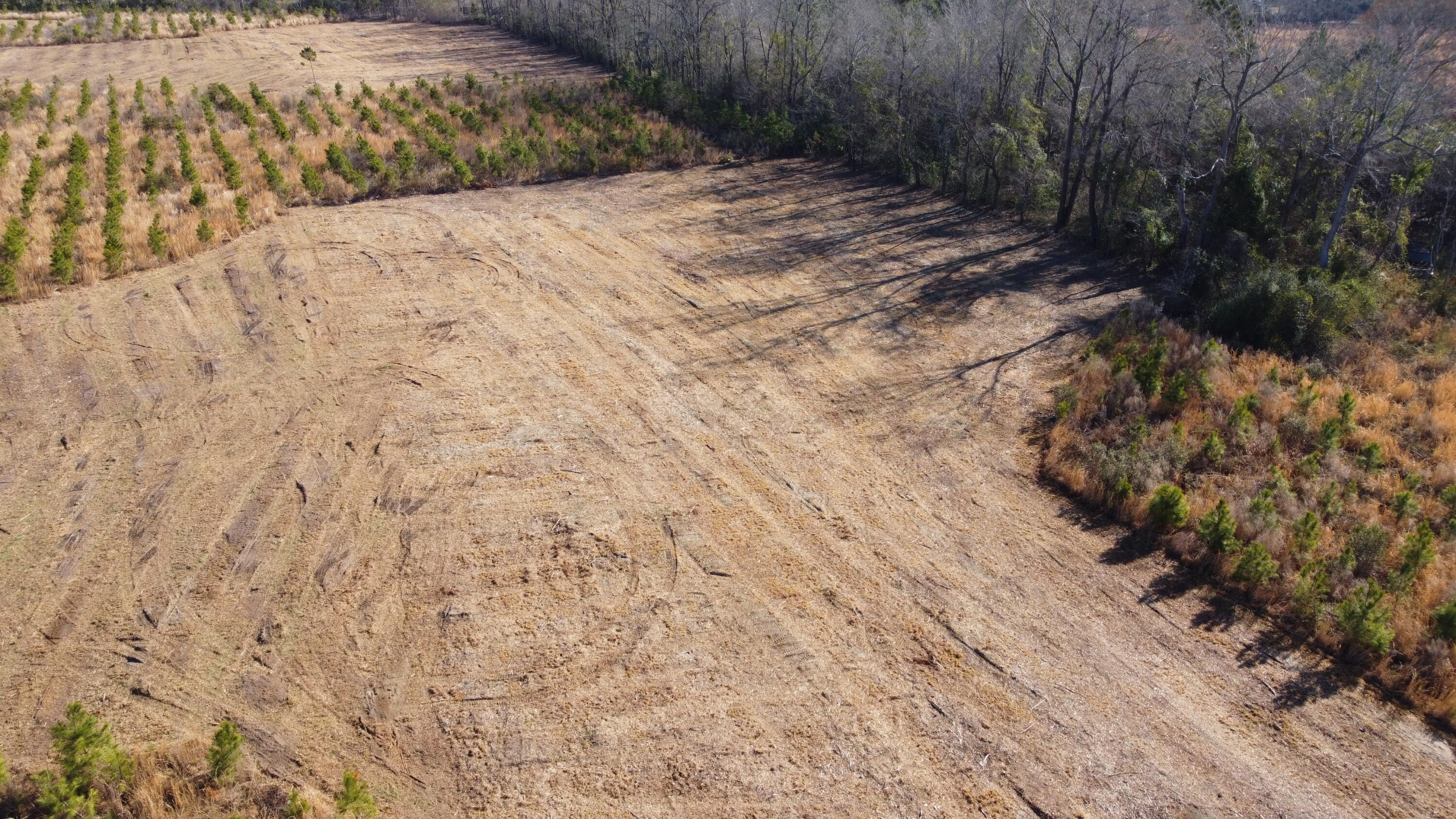 101-4 Highway 6 Elloree, SC 29047 - Photo 5 of 10 DJI_0110