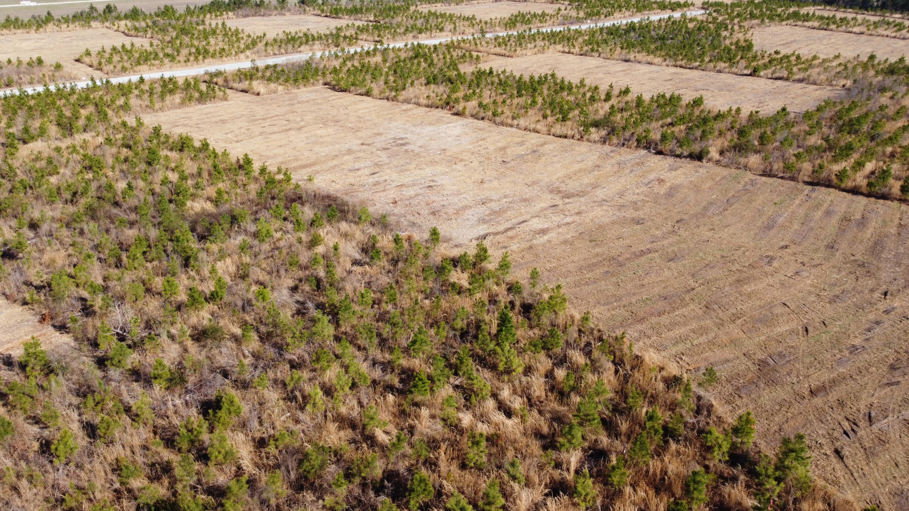 101-4 Highway 6 Elloree, SC 29047 - Photo 8 of 10 DJI_0111