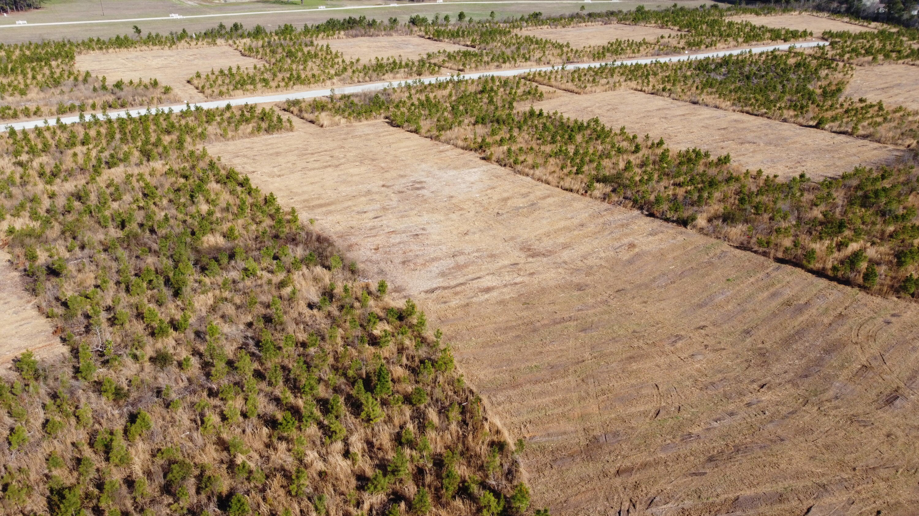 101-4 Highway 6 Elloree, SC 29047 - Photo 10 of 10 DJI_0112