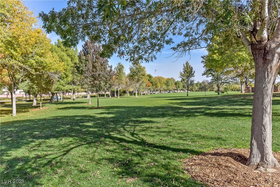 55 Durango Station Drive Henderson, NV 89012 - Photo 29 of 29