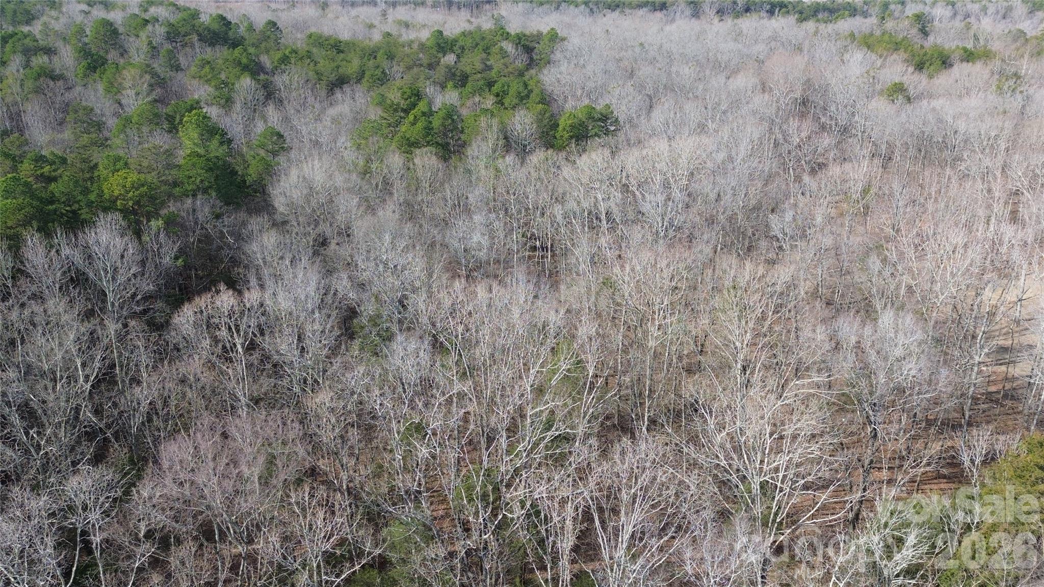 0 Old Union Church Road, Unit 1/2 Salisbury, NC 28146 - Photo 11 of 15 a view of a dry yard